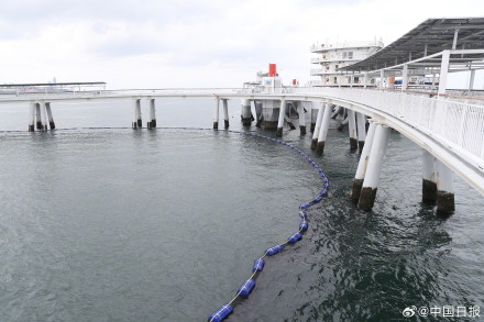 藏“粮”于海 耕海1号打造海洋牧场新模式