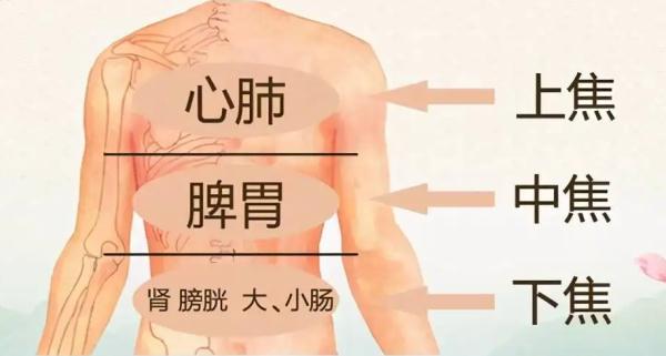 湿气重的人注意！湿气重，有妙招，一文自查，收藏这篇就对了！