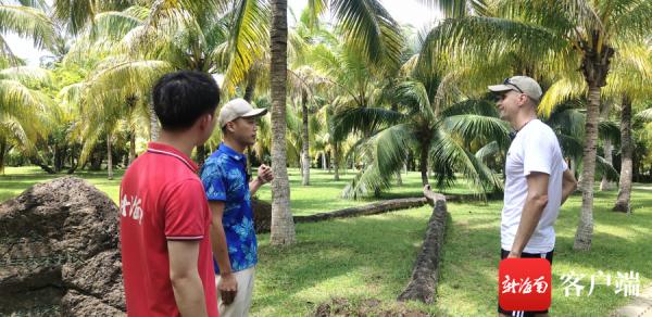 打排球、爬椰树、逛孔庙……这个外国球星爱上文昌! 打排球、爬椰树、逛孔庙……这个外国球星爱上文昌!