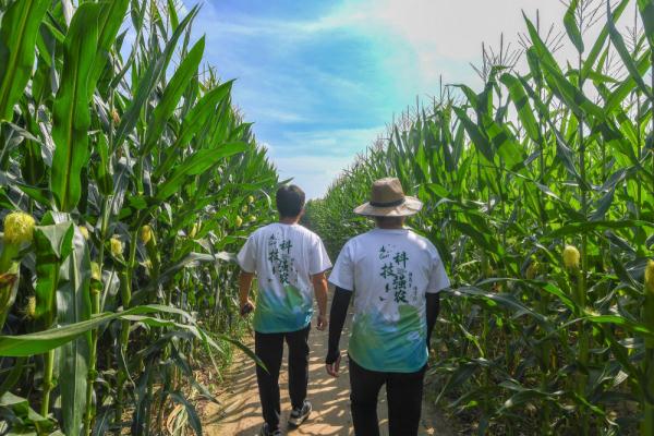 新华全媒+|为更多黑土地盖上“被子”