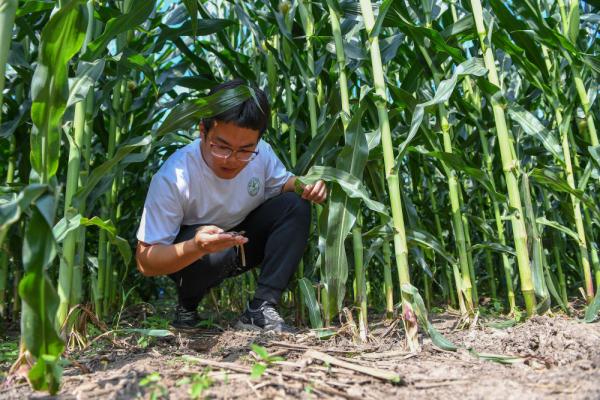 新华全媒+|为更多黑土地盖上“被子”