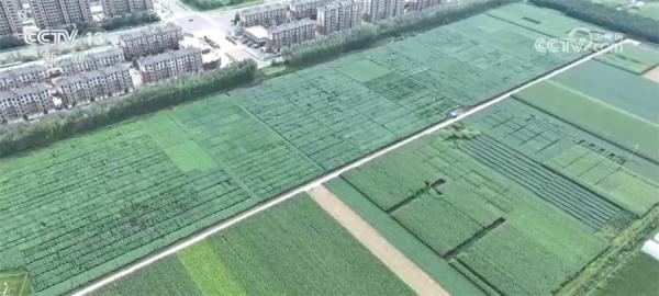 《黑土地保护法》实施一周年 多方齐发力提地力增肥力