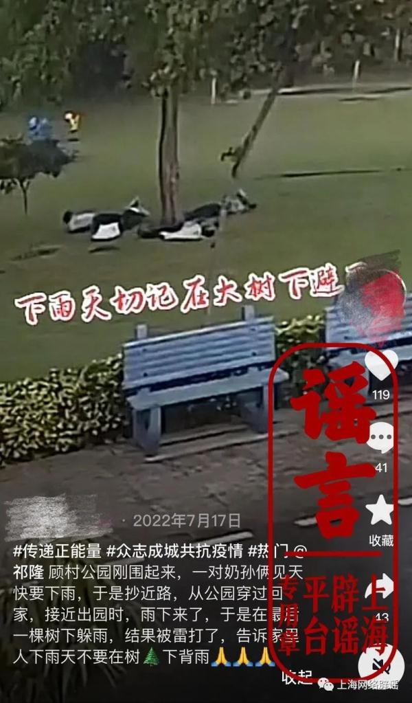 上海顾村公园4人树下躲雨被雷击？真相是…