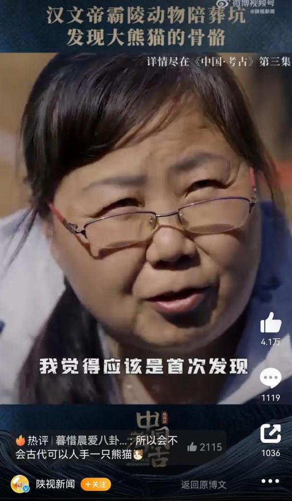汉文帝用大熊猫陪葬？殉葬坑出土完整大熊猫骨骼