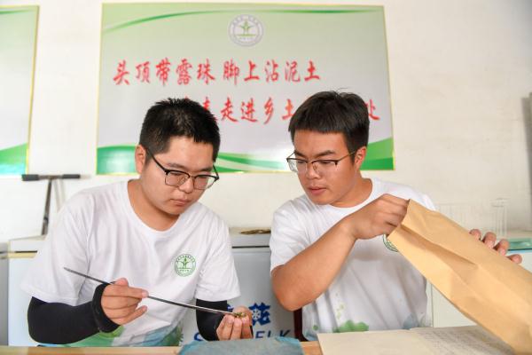 新华全媒+|为更多黑土地盖上“被子”