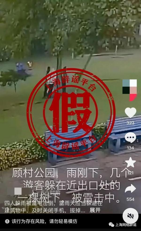 上海顾村公园4人树下躲雨被雷击？真相是…