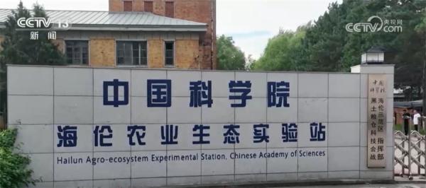《黑土地保护法》实施一周年 多方齐发力提地力增肥力