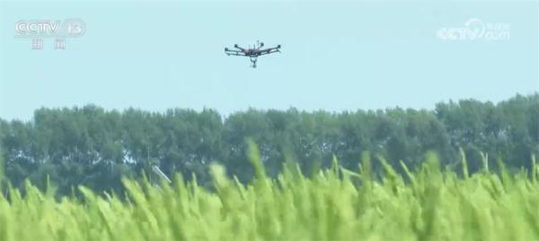 “天上地下”看黑土地新变化 科技助力精准保护