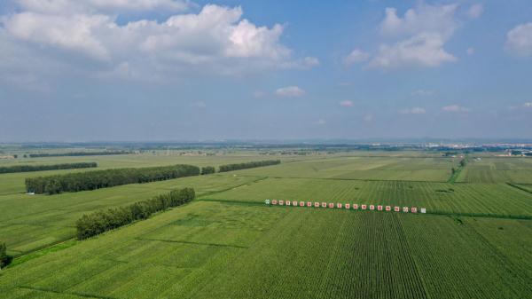 新华全媒+|为更多黑土地盖上“被子”