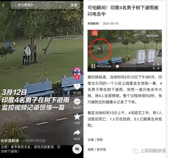 上海顾村公园4人树下躲雨被雷击？真相是…