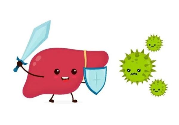 关于丙型病毒性肝炎,这些知识你要了解 关于丙型病毒性肝炎,这些知识你要了解