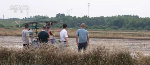 丘陵地变良田 “数字农田”带动各要素加快向乡村汇聚