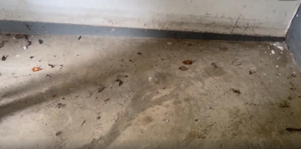 家中成“化粪池”，在外租房8个月……居民泪洒直播现场：我何时能回家？