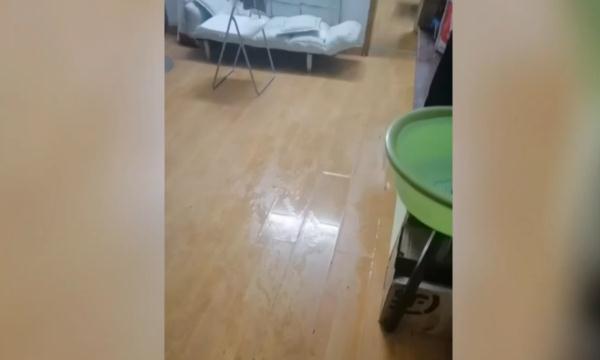 家中成“化粪池”，在外租房8个月……居民泪洒直播现场：我何时能回家？