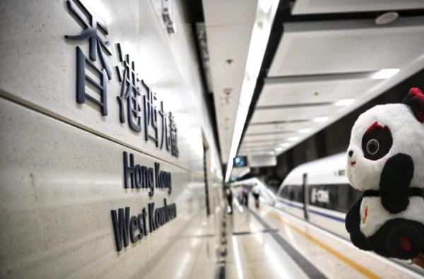 蓉港高铁“满月”，客座率超96%！