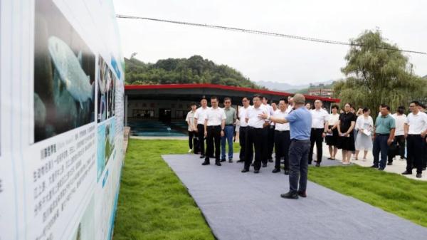 “鲟”梦长江 宜宾长宁这个保护基地正式揭牌