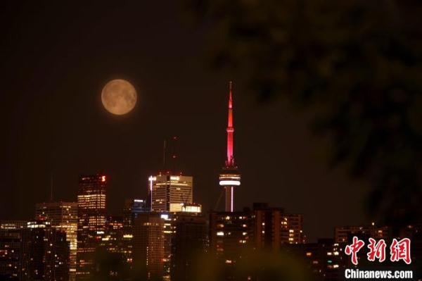 加拿大多伦多迎来2023年首次“超级月亮” 加拿大多伦多迎来2023年首次“超级月亮”