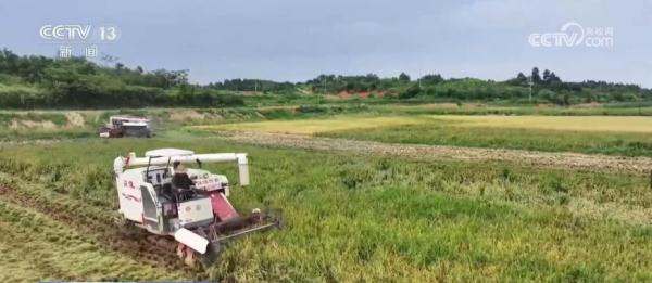 丘陵地变良田 “数字农田”带动各要素加快向乡村汇聚