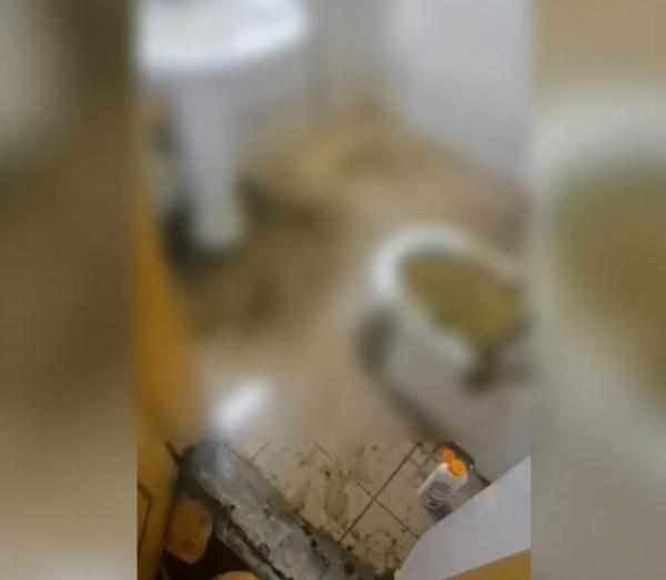 家中成“化粪池”，在外租房8个月……居民泪洒直播现场：我何时能回家？