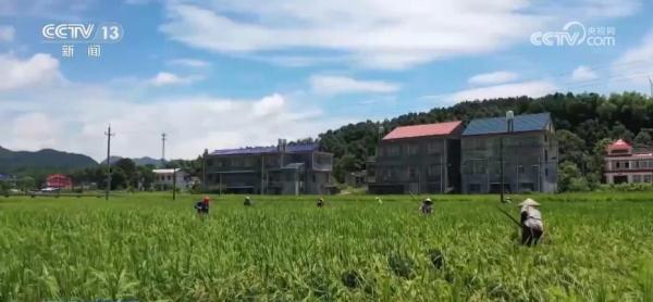 丘陵地变良田 “数字农田”带动各要素加快向乡村汇聚