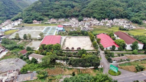 “鲟”梦长江 宜宾长宁这个保护基地正式揭牌