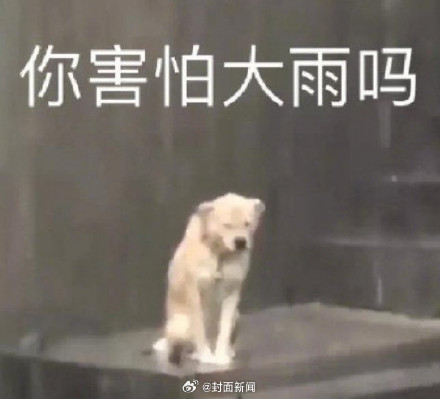 暴雨黄色预警!成都多地降雨量将达50毫米以上 暴雨黄色预警!成都多地降雨量将达50毫米以上