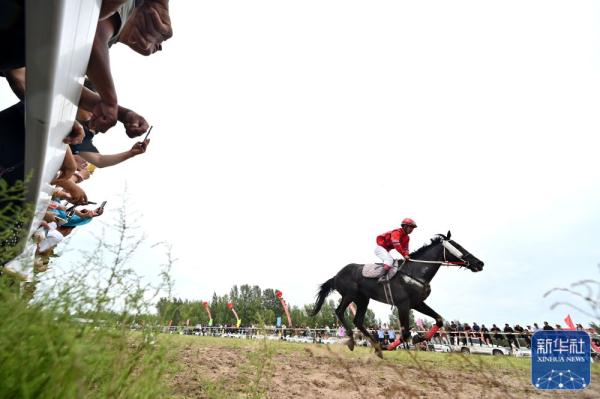 草原那达慕：科尔沁草原上的欢乐大会