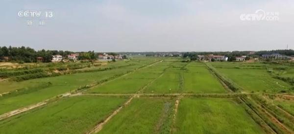 丘陵地变良田 “数字农田”带动各要素加快向乡村汇聚