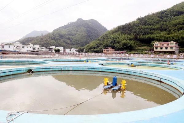 “鲟”梦长江 宜宾长宁这个保护基地正式揭牌