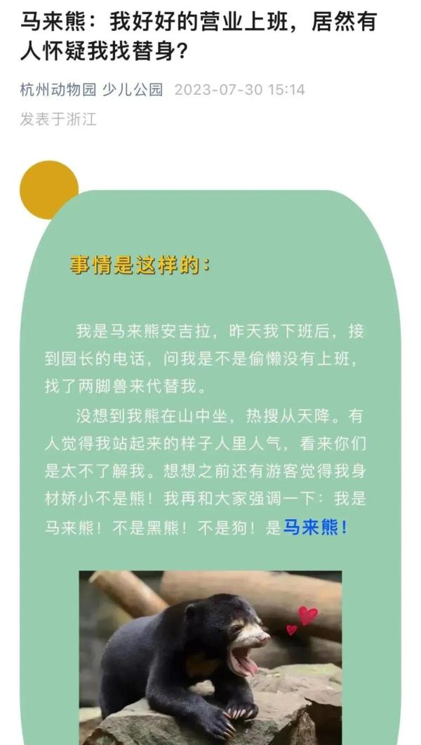 “人里人气”！小熊被质疑是人假扮的，动物园坐不住了……