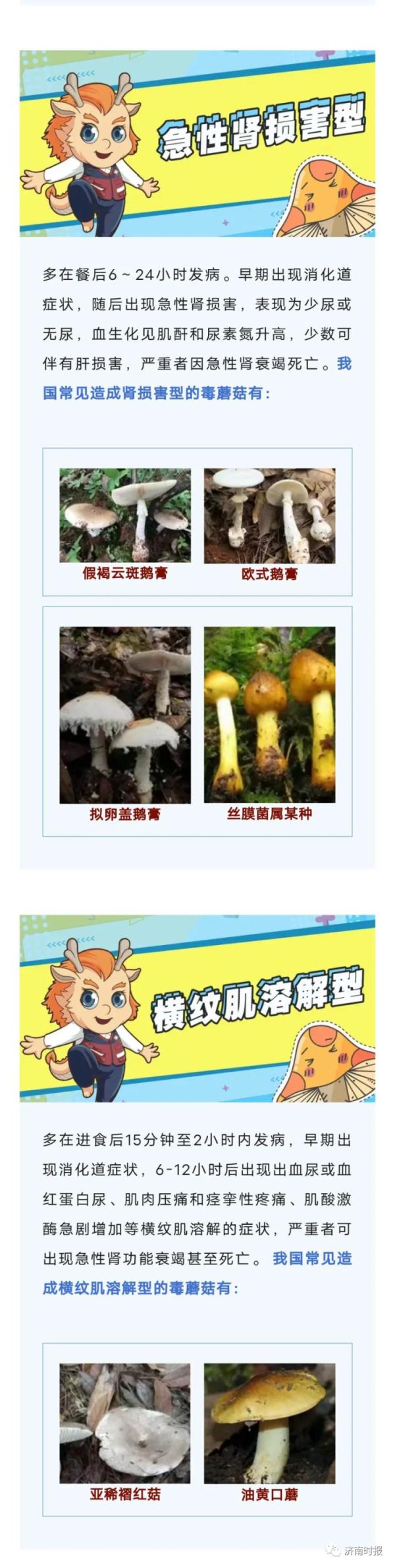 小心中毒!多人不幸中招,医生:是高发季 小心中毒!多人不幸中招,医生:是高发季