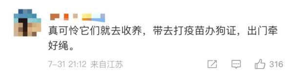 流浪狗伤人,“爱心”投喂人要不要担责?法院判了→ 流浪狗伤人,“爱心”投喂人要不要担责?法院判了→