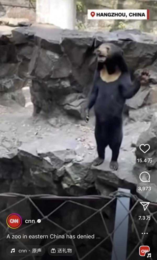 杭州动物园的马来熊火到国外，全世界网友都在讨论是熊是人