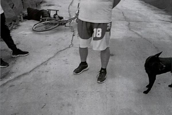 流浪狗伤人,“爱心”投喂人要不要担责?法院判了→ 流浪狗伤人,“爱心”投喂人要不要担责?法院判了→