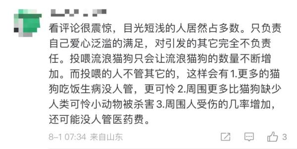 流浪狗伤人,“爱心”投喂人要不要担责?法院判了→ 流浪狗伤人,“爱心”投喂人要不要担责?法院判了→