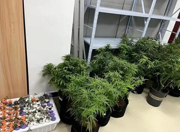 密不透风的房子里,藏着不可告人的秘密…… 密不透风的房子里,藏着不可告人的秘密……