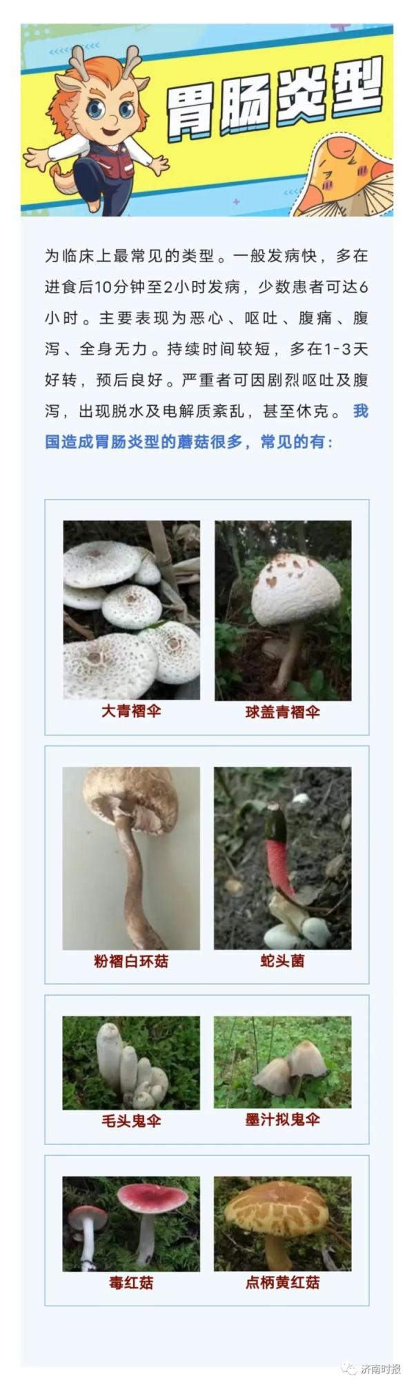 小心中毒!多人不幸中招,医生:是高发季 小心中毒!多人不幸中招,医生:是高发季