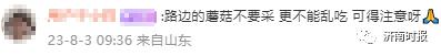 小心中毒!多人不幸中招,医生:是高发季 小心中毒!多人不幸中招,医生:是高发季