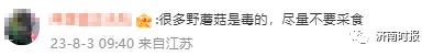 小心中毒!多人不幸中招,医生:是高发季 小心中毒!多人不幸中招,医生:是高发季