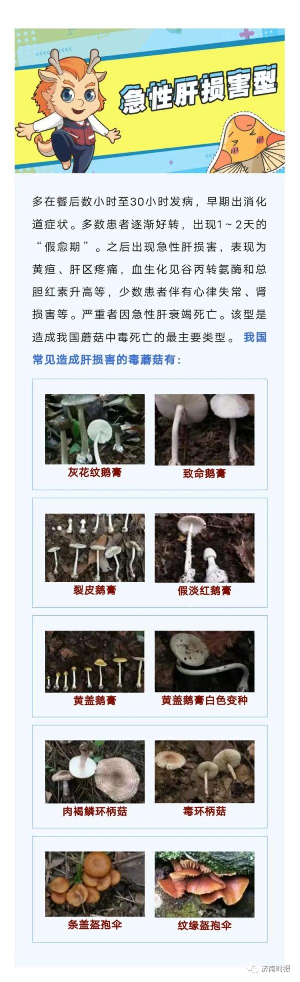 小心中毒!多人不幸中招,医生:是高发季 小心中毒!多人不幸中招,医生:是高发季