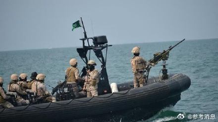 法媒：美准备在穿行海湾的商业油轮上部署军队