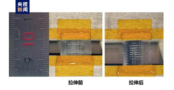 可穿戴！我国科学家率先打造出有弹性的铁电材料