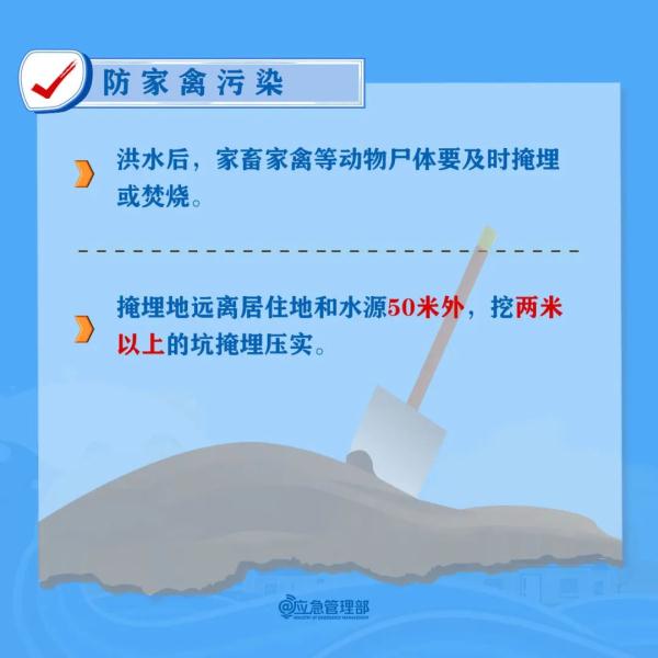 暴雨洪水过后，这些事千万警惕