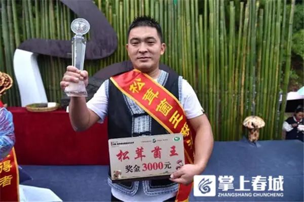 848克松茸以6.8万元拍出！楚雄南华“十大菌王”诞生