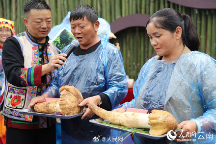 云南848克松茸菌王拍出6.8万元