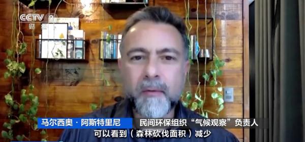 巴西一商人涉嫌大肆砍伐亚马孙雨林被捕