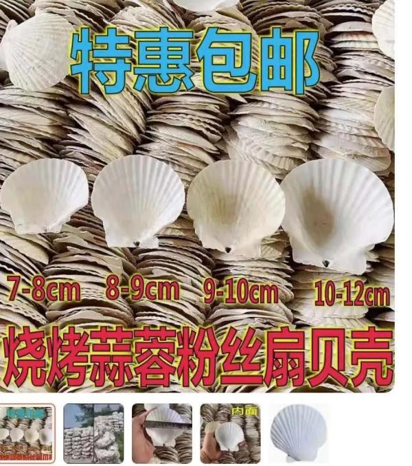 网店兜售烧烤用扇贝壳6.9元起，市监局：“组合扇贝”不合规可举报