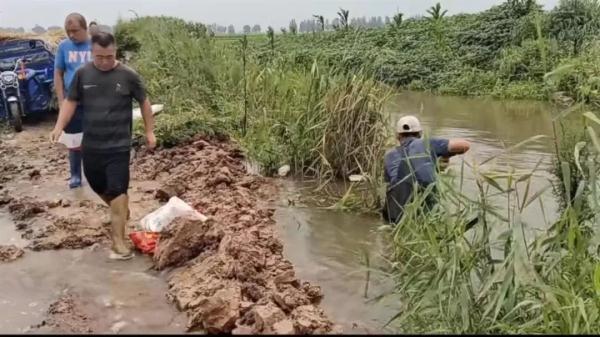 警惕！黑龙江4条江河洪水形成，五常大米产地遭侵袭，“稻田都看不见了”……