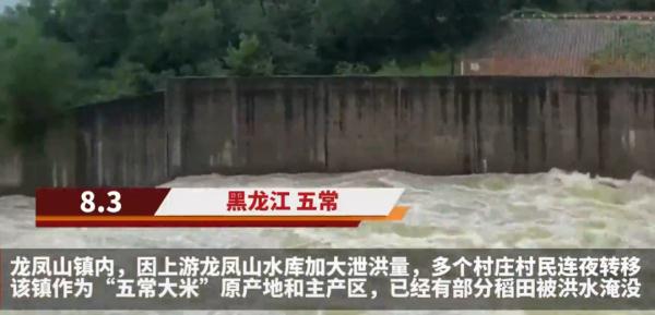 警惕！黑龙江4条江河洪水形成，五常大米产地遭侵袭，“稻田都看不见了”……