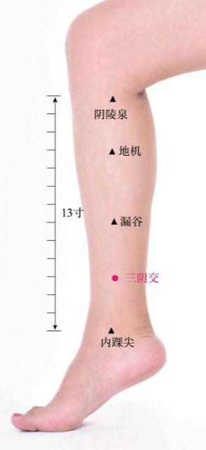 医生:昨晚你熬夜了吗?“几点睡算熬夜 ?” 医生:昨晚你熬夜了吗?“几点睡算熬夜 ?”
